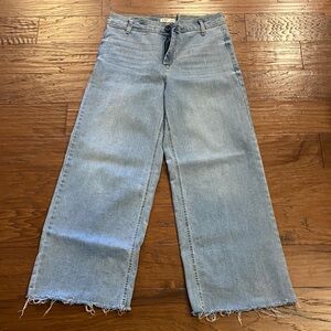 VGUC Oat Denim Wide Leg Baggy Jeans in Size 10/30
